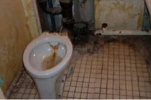 Демонтаж унитаза